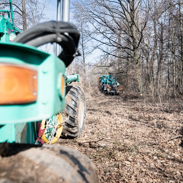 DSC06223 (Large)